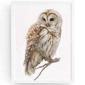 Watercolor Barred Owl Portrait Wall Art Print, Unframed - Mystical Woodland